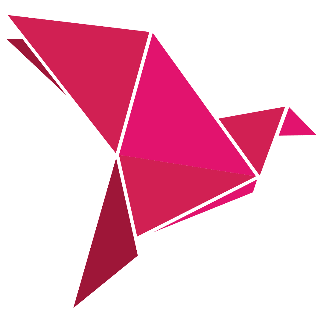 bKash logo