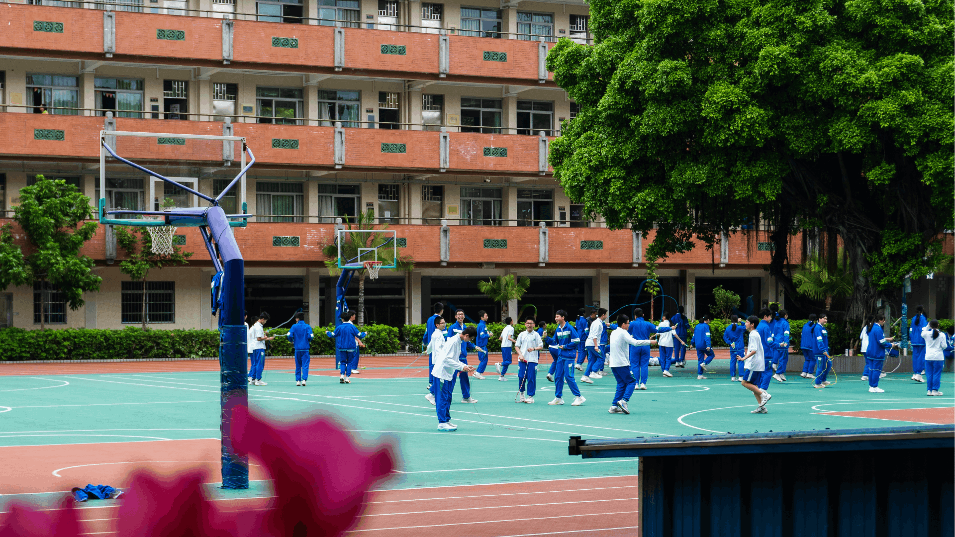 Why Every Student Needs PE: The Hidden Power of Physical Education